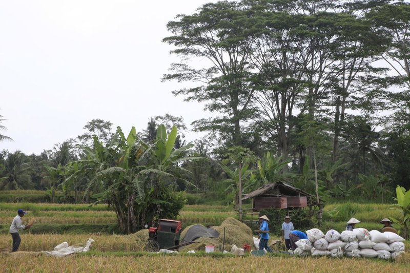 Pondok Gepokan Homestay, Ubud, Indonesia