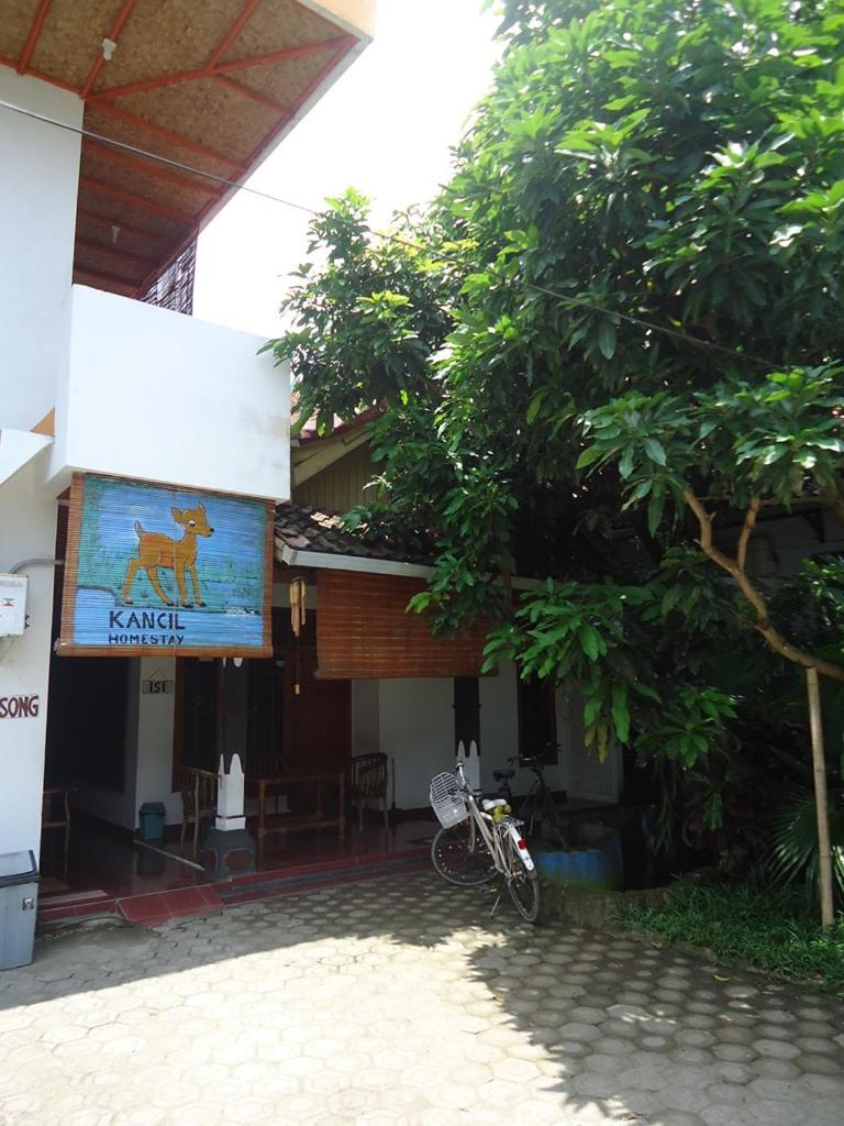 Kancil homestay, Indonesia