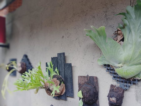 Sudana Homestay in Ubud City, Ubud, Indonesia
