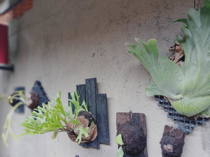 Sudana Homestay in Ubud City, Ubud, Indonesia