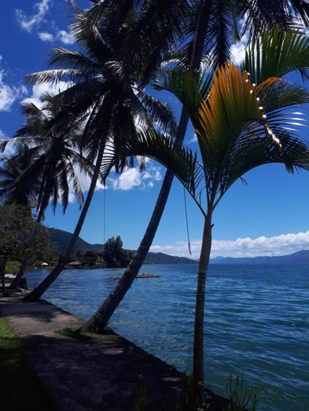 Mas Cottages, Tuk Tuk, Indonesia