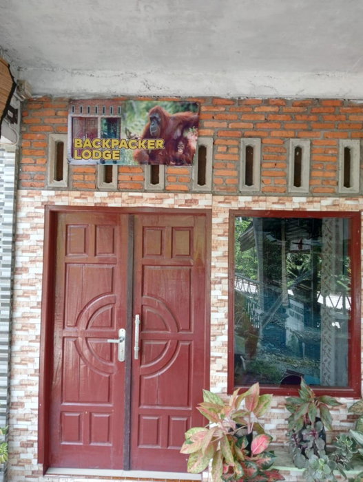 Backpacker Lodge, Bukit Lawang, Indonesia
