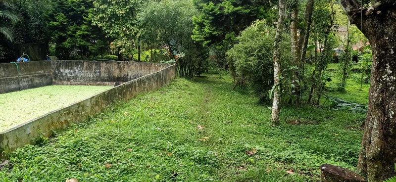 Philip Mary Farm Stay, Thekkady, India