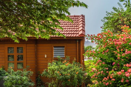 Leo wooden resorts, Hampi, India