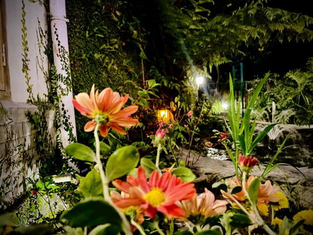 Noblestride Resort, Gangtok, India