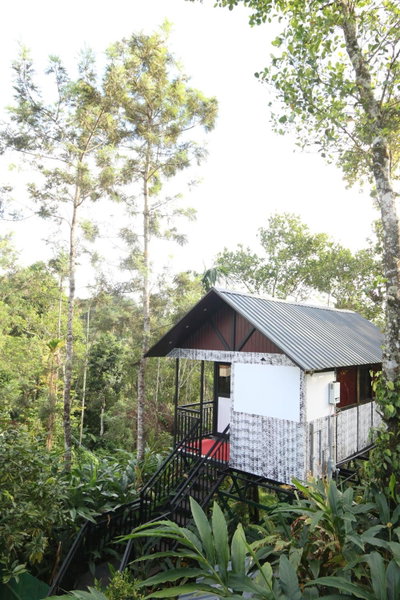 Spice Valley Home Stay & Tree House Munnar, Munnar, India