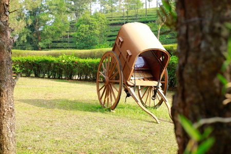 Saj Vagamon Hideout, Vagamon, India
