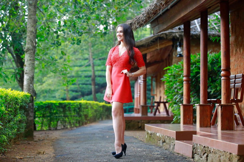 Saj Vagamon Hideout, Vagamon, India