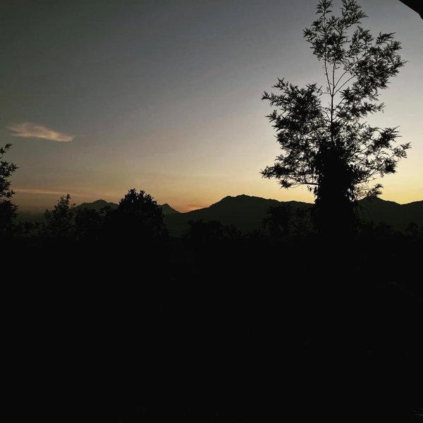 Aambal Villa Homestay, Meenangadi, India