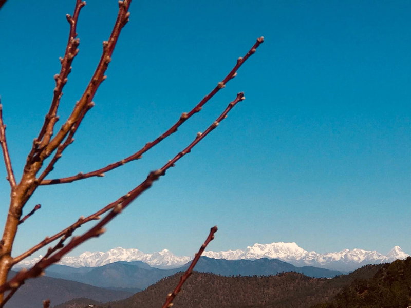 Enchanted Hills Farmstay, Mukteswar, India
