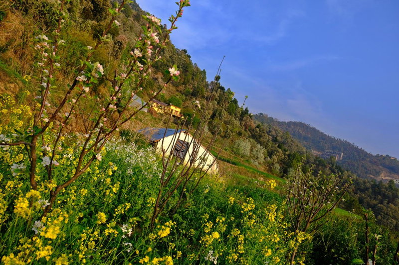 Enchanted Hills Farmstay, Mukteswar, India