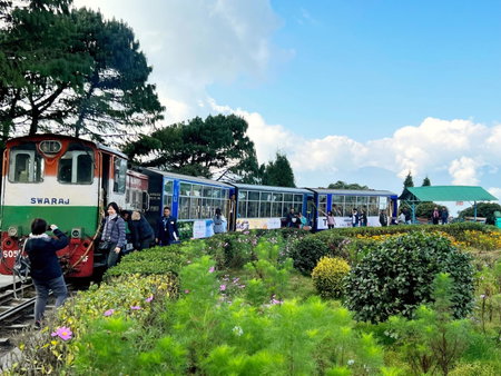 Darjeeling Heights - A Boutique Mountain View Homestay, Darjeeling, India
