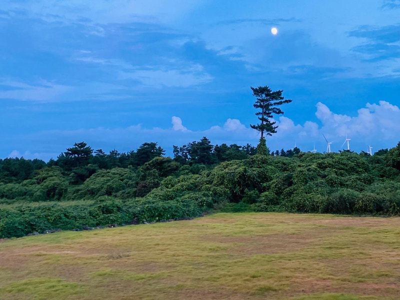 tebaz, Jeju, South Korea