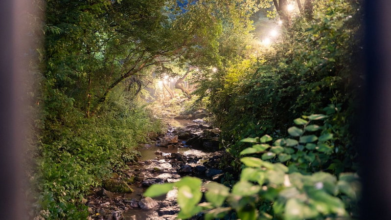 Chuncheon Haven Forest Pension, Chuncheon, South Korea