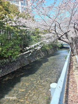 Priberry Hotel, Changwon, South Korea