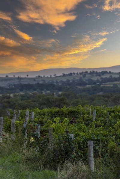 The Zin Loft, Orange, Australia