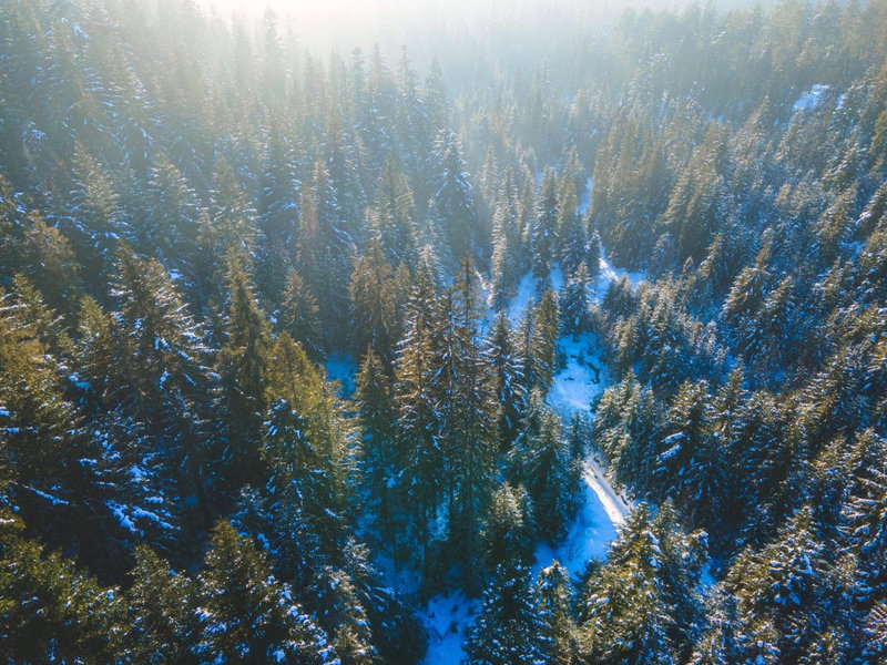 Leśna Bacówka, Nowy Targ, Poland