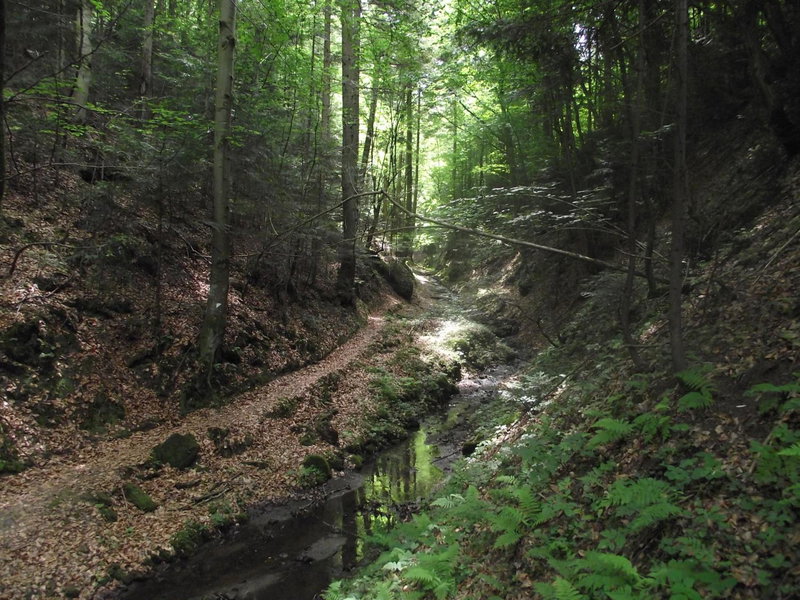 Idylla, Połom Mały, Poland