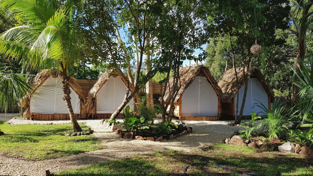 El Búho Eco-Cabañas Hostal., Mexico