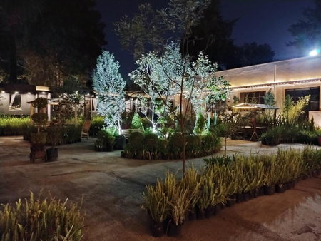Utopía Hotel Boutique, Mexico City, Mexico
