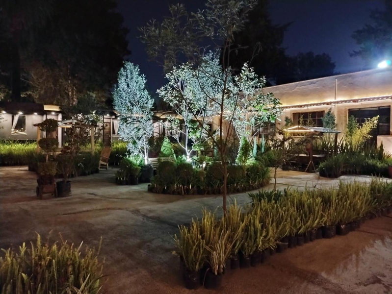 Utopía Hotel Boutique, Mexico City, Mexico