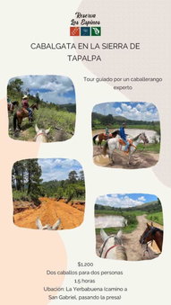 Cabaña Buganvilia, Tapalpa, Tapalpa, Mexico