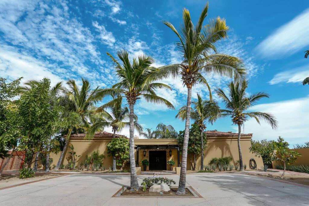 Hotel · Villa Vida Cabo - Authentic Spacious Ocean View Near Beach & Town, San José Del Cabo