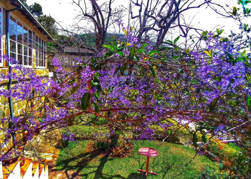 Residencial Flor- Hilda, Itaipava, Brazil