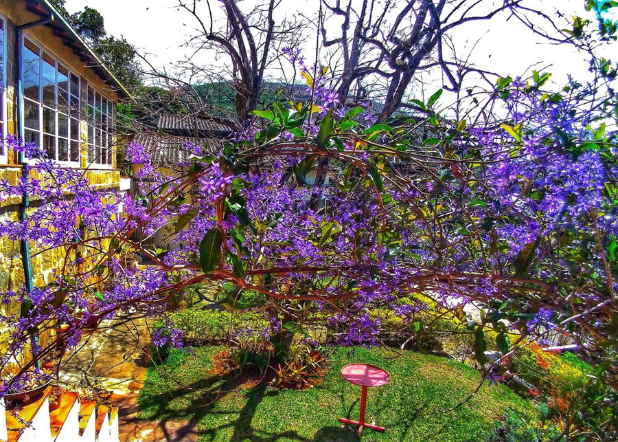 Residencial Flor- Hilda, Itaipava, Brazil
