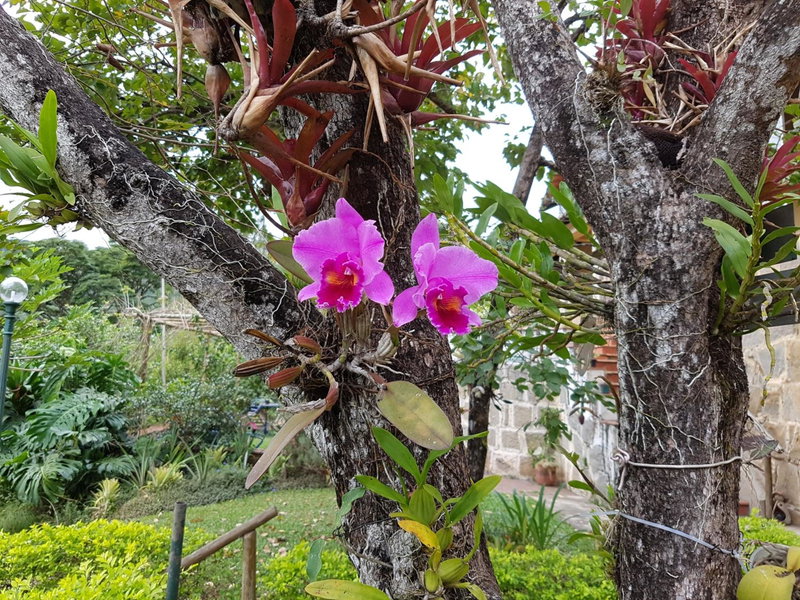 Residencial Flor- Hilda, Itaipava, Brazil
