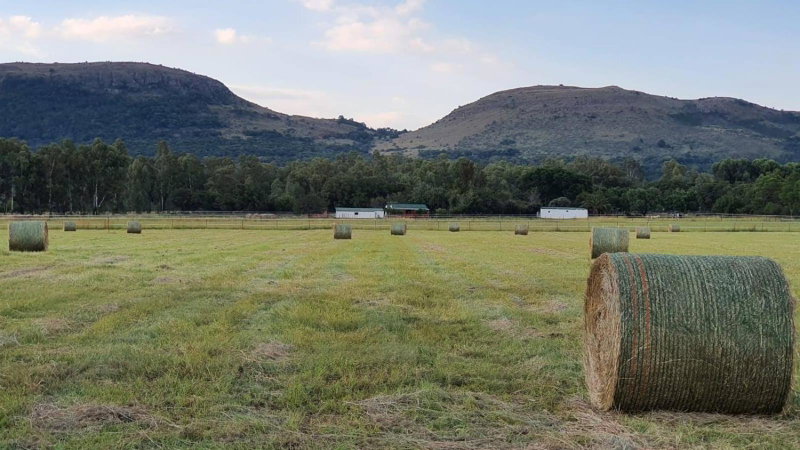Landor Stud Farm Cottage, Magaliesburg, South Africa