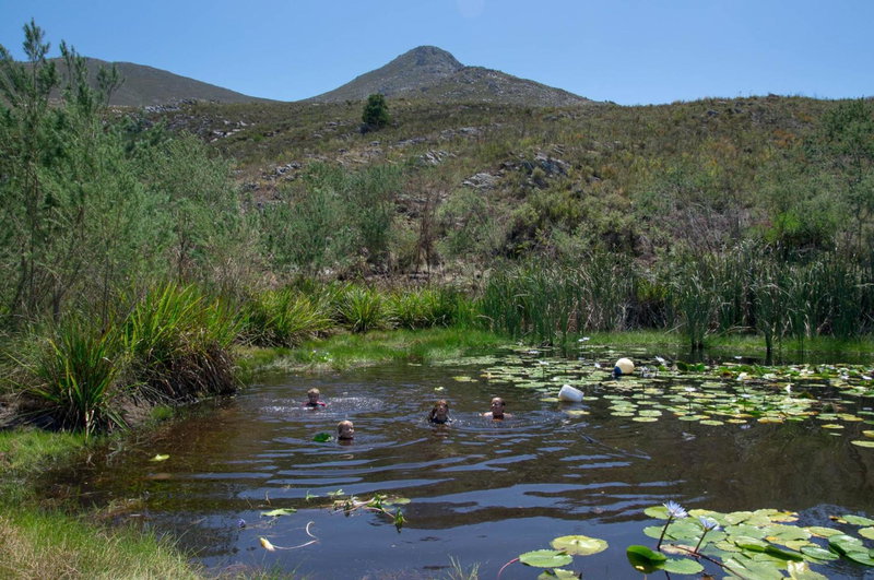 Phillipskop Eco-Chalets, Stanford, South Africa
