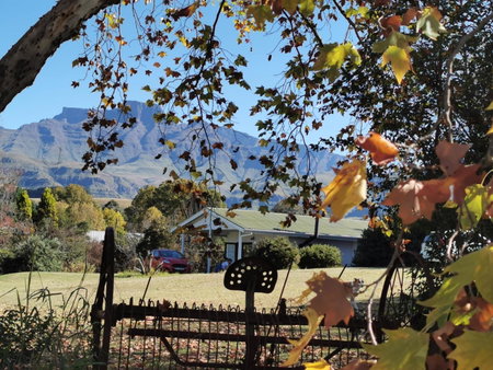 Swallowfield Cottage, Champagne Valley, South Africa