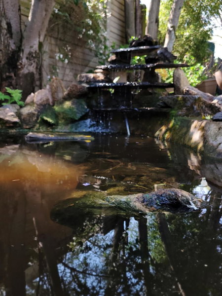 Riverbush Lodge Guesthouse, Parys, South Africa