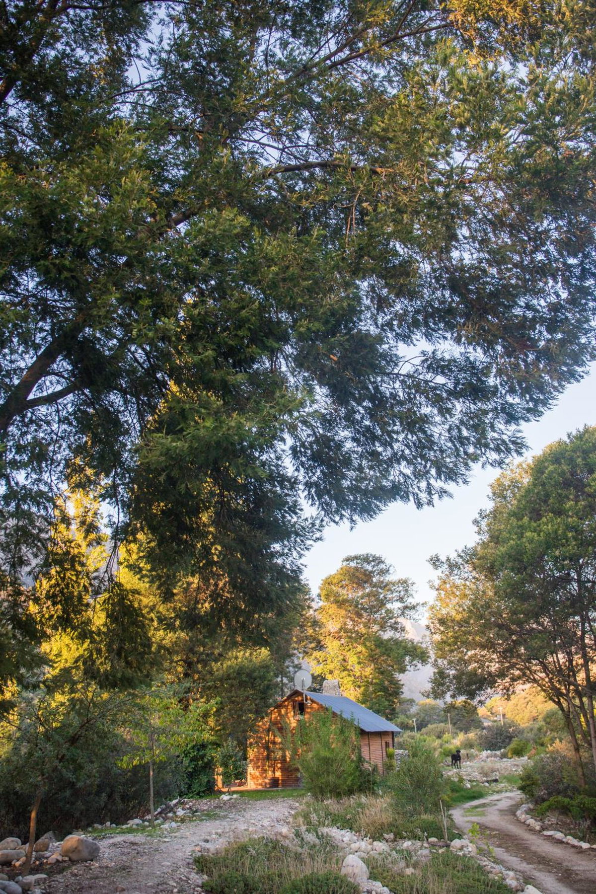 White Bridge Farm Accommodation, South Africa