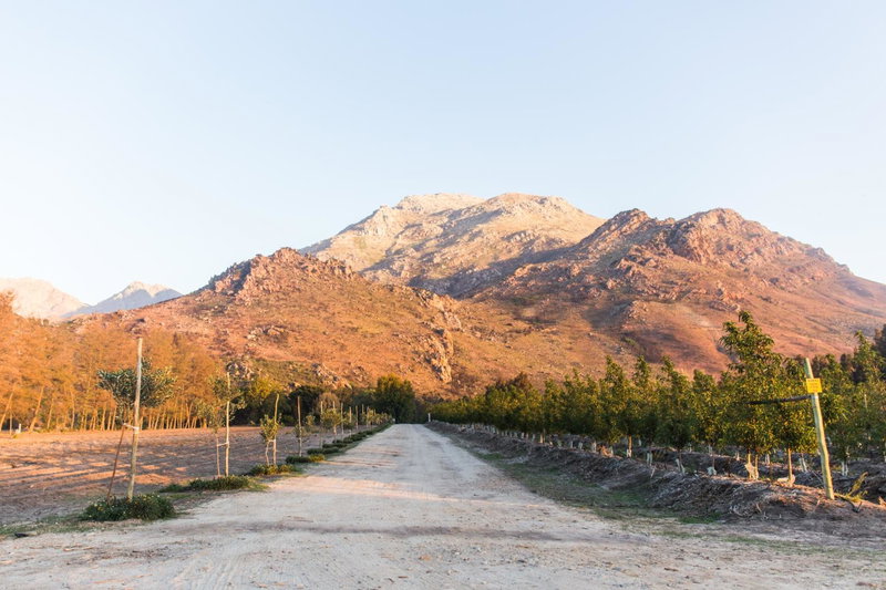 White Bridge Farm Accommodation, Wolseley, South Africa