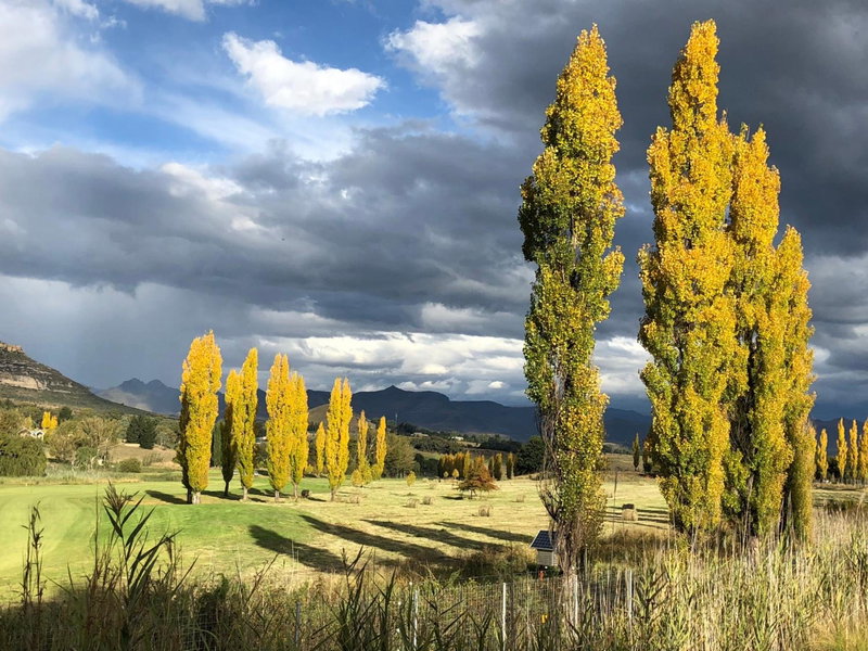 Birchwood A & B @ Clarens, Clarens, South Africa