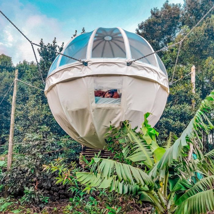 Quinta do Abacate - Glamping Park, Angra do Heroísmo, Portugal