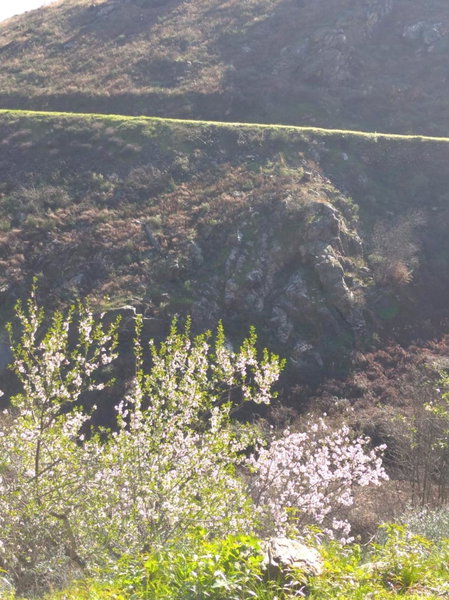Congidouro, Freixo de Espada à Cinta, Portugal