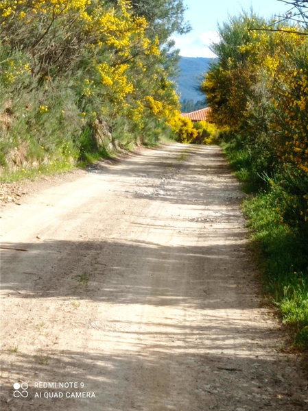 Quinta do Favacal - Agroturismo - Serra da Estrela, Casegas, Portugal