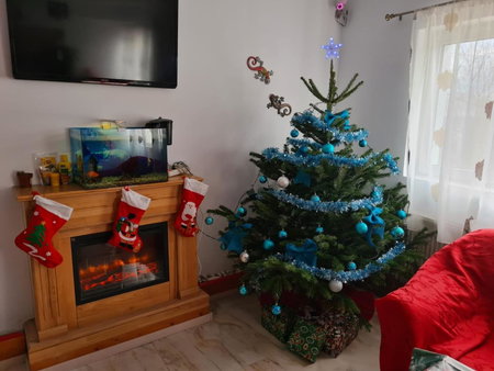 Pensiunea Riccardo, Braşov, Romania
