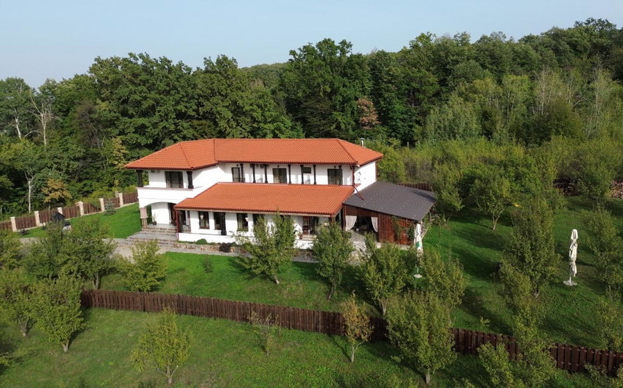 Pensiunea Emelys, Iasi, Iaşi, Romania