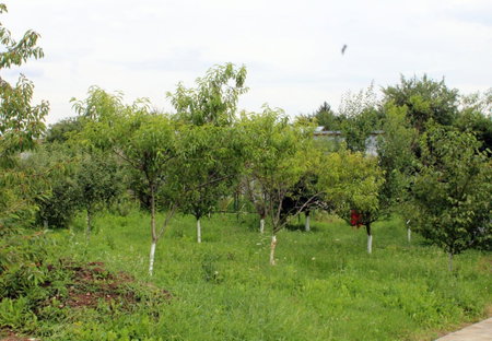 Anuța, Breaza, Romania
