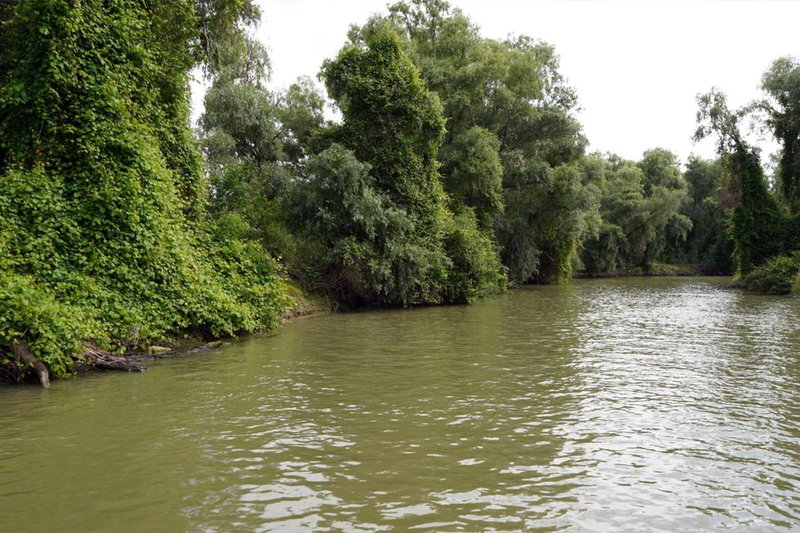 Live Tulcea Hotel, Tulcea, Romania