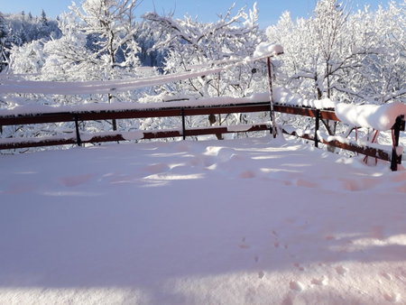 Biljevina, Saborsko, Croatia