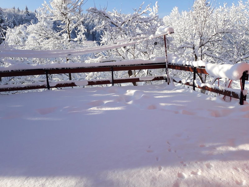 Biljevina, Saborsko, Croatia