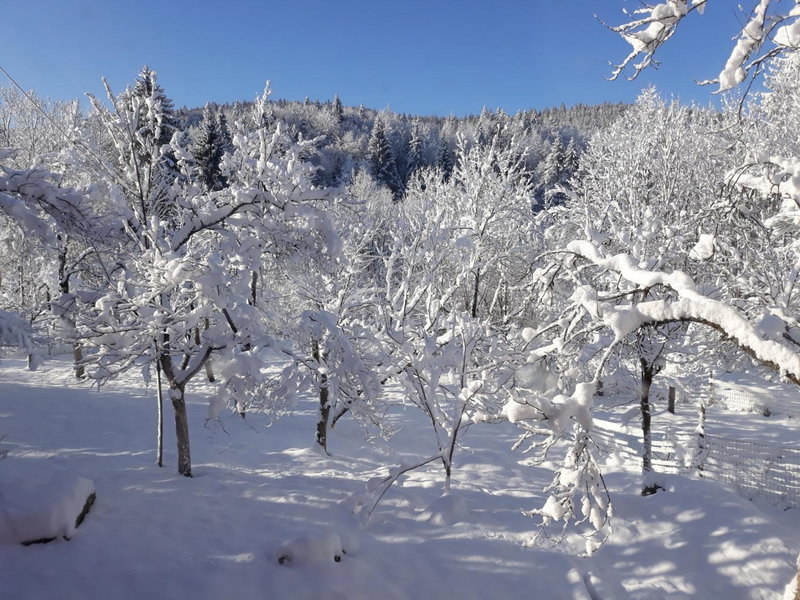 Biljevina, Saborsko, Croatia