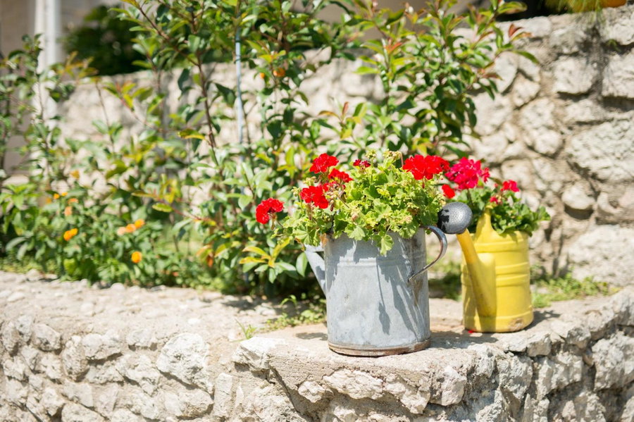 Apartmani Galić, Ploče, Croatia