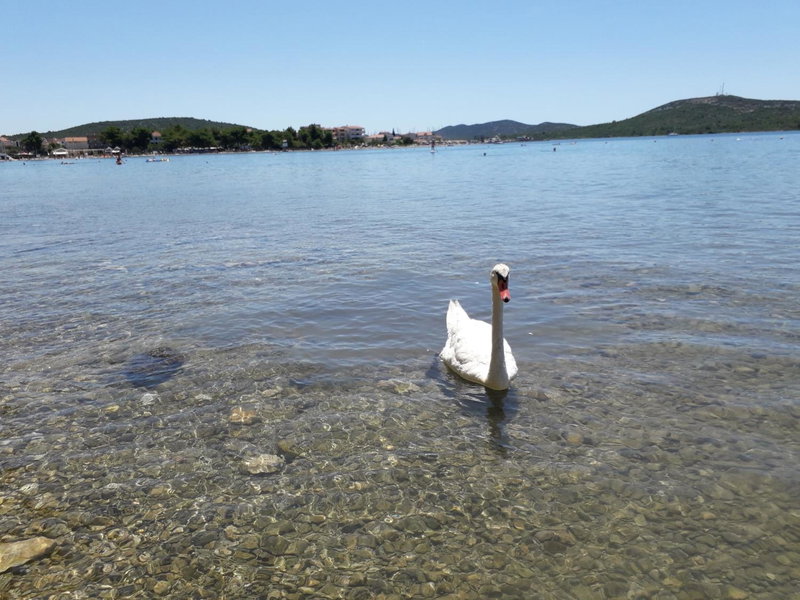 Apartman Soto, Pirovac, Croatia