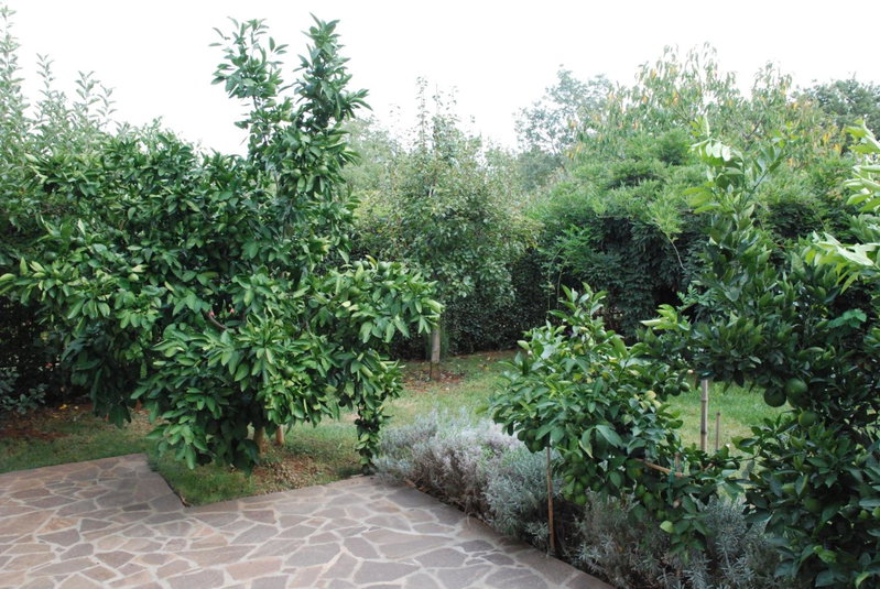 Apartmani Radin, Poreč, Croatia